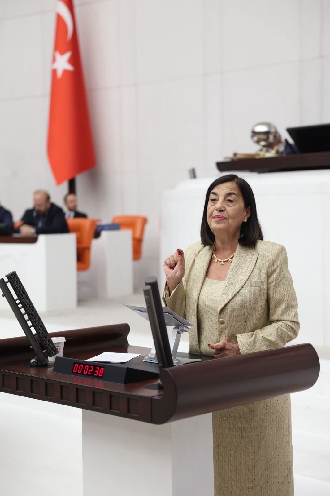 CHP ESKİŞEHİR MİLLETVEKİLİ JALE NUR SÜLLÜ’DEN MİHALIÇÇIK’TAKİ ORMAN İHALESİNE SERT TEPKİ